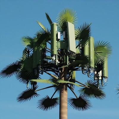 14 20 26M Scenic Spot Bionic Tree Camuffato Galvanizzato Outdoor 5G 4G Mast di comunicazione a microonde