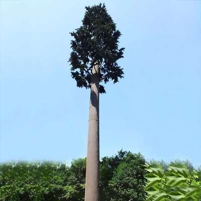 Torre Albero Bionico costruzione modulare altezza personalizzabile e specie abbinate alla flora locale per infrastrutture estetiche