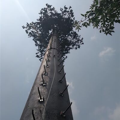 Torre delle telecomunicazioni mimetizzata con palme da 18 27 35 metri per il paesaggio di un resort