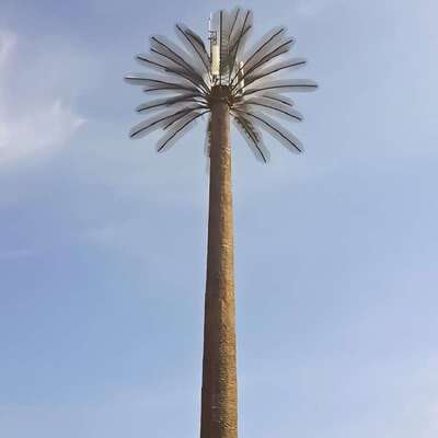 Torre unipolare realistica dell'albero bionico da 32 M per le telecomunicazioni della comunità residenziale