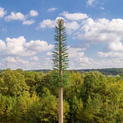 Torre di comunicazione mimetica mimetica con palma bionica in stile tropicale da 15-45 m per copertura del segnale dei resort costieri Nucleo in acciaio zincato di 30 anni e foglie resistenti ai raggi UV