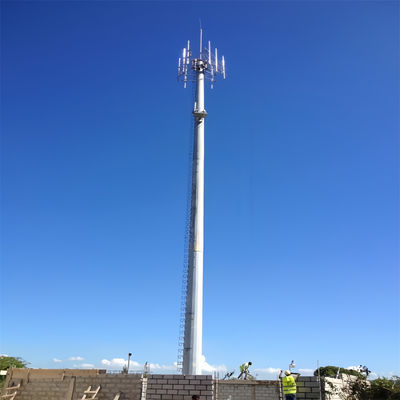 Progettazione galvanizzata a caldo ad alta resistenza dell'acciaio per la comunicazione Monopole Tower