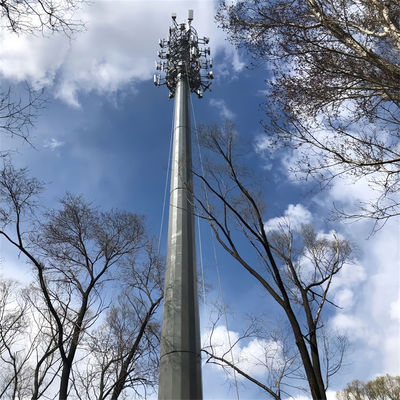 20 Meter 25 30 Meter Antenna Telecom Acciaio Monopole Torre Q345B / A572 Materiale