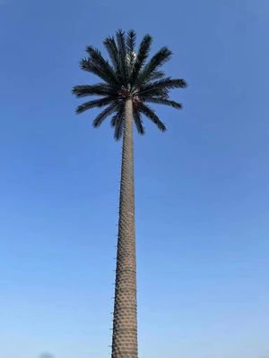 10 20 30 M Palma Falso Albero Torre cellulare Telecomunicazioni camuffate 5-80M