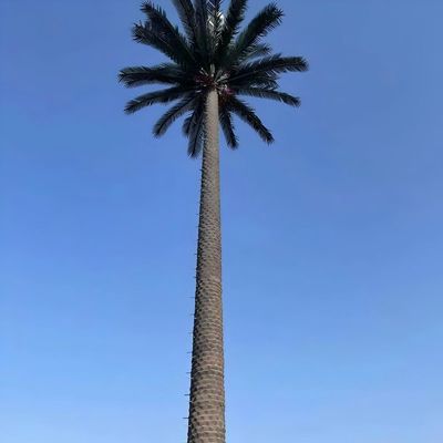 10 20 30 40 50 60 70 80 M Dip hot galvanizzato camuffato palo palma / pino micro Torre cellulare finta alberi 10 20 30 40 50 60 70 80 M