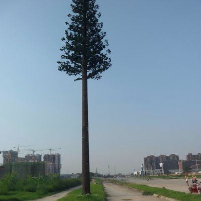 10 20 30 40 50 60 70 80 M Dip hot galvanizzato camuffato palo palma / pino micro Torre cellulare finta alberi 10 20 30 40 50 60 70 80 M