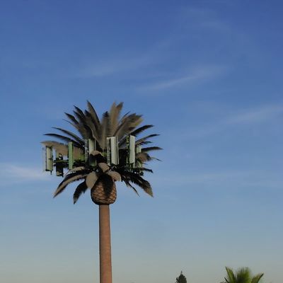 10 20 30 M Palma Falso Albero Torre cellulare Telecomunicazioni camuffate 5-80M