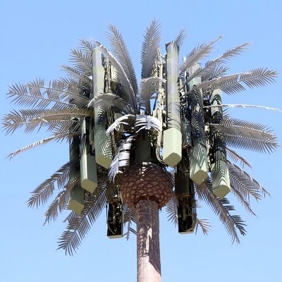 10 20 30 40 50 60 70 80 M Dip hot galvanizzato camuffato palo palma / pino micro Torre cellulare finta alberi 10 20 30 40 50 60 70 80 M