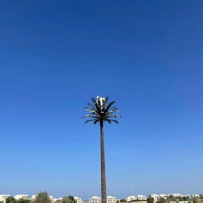 Torri cellulari bionici camuffati GSM Antenna monopolio in acciaio Torri di telecomunicazione Galvanizzazione