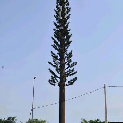 Torri cellulari bionici camuffati GSM Antenna monopolio in acciaio Torri di telecomunicazione Galvanizzazione