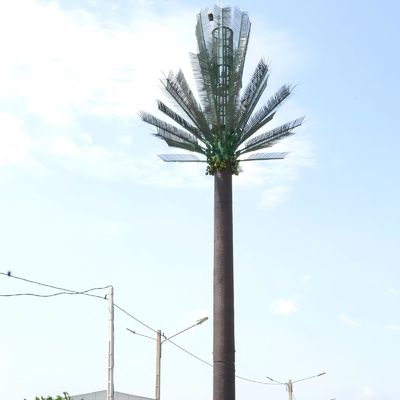Albero di palma / pino 10 20 30 40 50 60 70 80