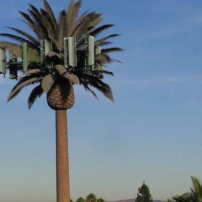 Galvanizzato GSM Mobile Bionic Palm Tree Antenna Torre Single Pole 5g Torre Camuffamento