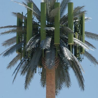 Galvanizzato GSM Mobile Bionic Palm Tree Antenna Torre Single Pole 5g Torre Camuffamento