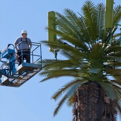 Galvanizzato GSM Mobile Bionic Palm Tree Antenna Torre Single Pole 5g Torre Camuffamento