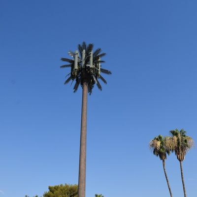 Personalizzazione 20m-50m Comunicazione Monopolio Artificiale Albero Torre cellulare Telecom Palm Bionic Disguise Albero Polo Torre