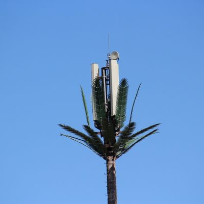 Personalizzazione 20m-50m Comunicazione Monopolio Artificiale Albero Torre cellulare Telecom Palm Bionic Disguise Albero Polo Torre