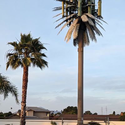 10 20 30 M Palma Falso Albero Torre cellulare Telecomunicazioni camuffate 5-80M