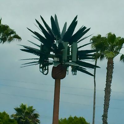 Torre di monopolio di telecomunicazione bionica galvanizzata / torri cellulari artificiali a albero