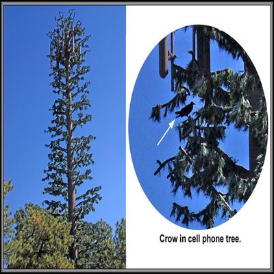 Progettazione del bionic tree tower camouflage per l'area panoramica e l'applicazione del progetto di turismo ecologico