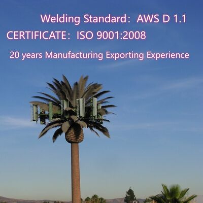 60M Bionic Coconut Tree Camuffato Acciaio Galvanizzato Monopole 5G Wifi Telecomunicazione Antenna Torre