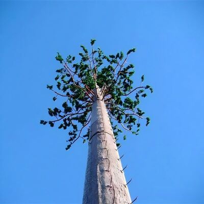 40M Bionic Tree Tower con tronchi artificiali rami e foglie realizzati con materiali di plastica e fibra di vetro ad alta resistenza