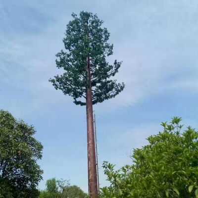 Torre ad albero bionico da 20M progettata per un'integrazione perfetta nei paesaggi con un aspetto simile a un albero e una costruzione modulare