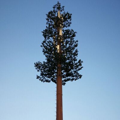 Torre ad albero bionico da 30M progettata per replicare alberi naturali con materiali resistenti e supporti per antenne integrati per le telecomunicazioni