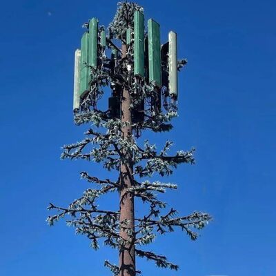 Bionic Tree Tower progettazione modulare con specie di alberi personalizzabili e altezza di supporto di antenne montate gestione dei cavi e raccoglitori di energia rinnovabile