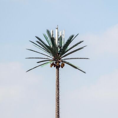 Torre Albero Bionico con aspetto simile ad un albero caratterizzato da rami e tronchi in fibra di vetro per un'integrazione paesaggistica senza soluzione di continuità