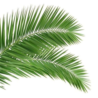 Torre Albero Bionico con aspetto simile ad un albero caratterizzato da rami e tronchi in fibra di vetro per un'integrazione paesaggistica senza soluzione di continuità