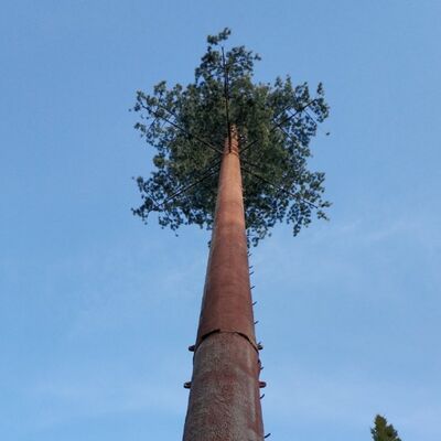Torre bionica per alberi componenti modulari personalizzabili per altezza e specie arboree per adattarsi a vari requisiti paesaggistici