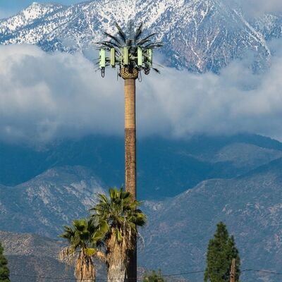 Torre bionica per alberi componenti modulari personalizzabili per altezza e specie arboree per adattarsi a vari requisiti paesaggistici