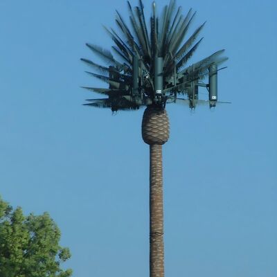 Torre di comunicazione dell'albero bionico acciaio galvanizzato segnale 25m 5G aree panoramiche disegno paesaggistico