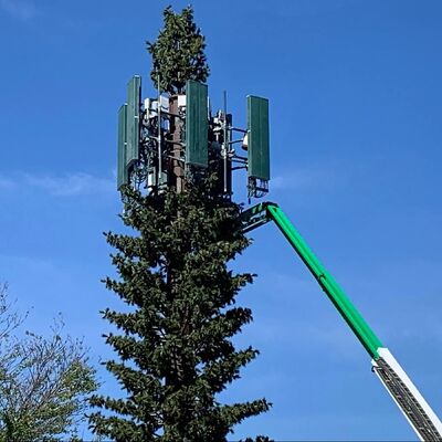 Torre ad albero bionico, torre ad albero artificiale, resistenza all'impatto KV 27 joule a varie temperature per l'affidabilità strutturale