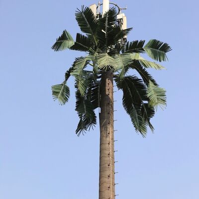 Torre dell'albero bionico dal design personalizzato mimetizzata per il paesaggio urbano dell'area panoramica