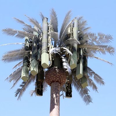 Torre dell'albero bionico dal design personalizzato mimetizzata per il paesaggio urbano dell'area panoramica