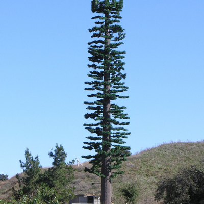 22 28 torre bionica delle telecomunicazioni dell'albero galvanizzata della immersione calda 36Meter mimetizzata per l'area scenica turistica
