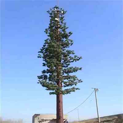 Torre di pino bionico personalizzata da 15 25 32 metri per la copertura del segnale 5G del parco cittadino