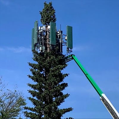 Torre di pino bionico mimetizzata ecologica per la rete wireless 5G Integrazione estetica Fabbrica di alberi di comunicazione con palme bioniche