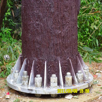 Robusta torre di pino bionico con fogliame mimetizzato e sistema di antenne nascoste per area paesaggistica Sito di rete 5G Q345B zincato