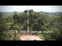 2.3 torre di comunicazione in acciaio a due zampe