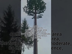 Torre dell' albero bionica