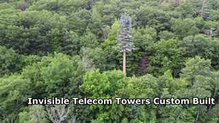 Torre dell' albero bionica